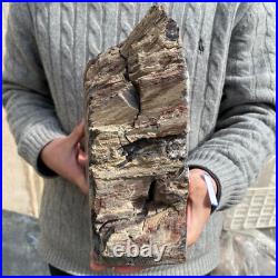 19.3lb Rare Natural petrified wood rough Wood fossil mineral specimen healing 19.3lb Rare Natural petrified wood rough Wood fossil mineral specimen healing