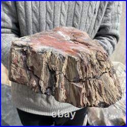 19.3lb Rare Natural petrified wood rough Wood fossil mineral specimen healing 19.3lb Rare Natural petrified wood rough Wood fossil mineral specimen healing