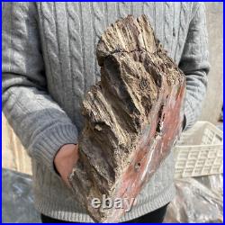 19.3lb Rare Natural petrified wood rough Wood fossil mineral specimen healing 19.3lb Rare Natural petrified wood rough Wood fossil mineral specimen healing