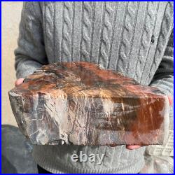 19.3lb Rare Natural petrified wood rough Wood fossil mineral specimen healing 19.3lb Rare Natural petrified wood rough Wood fossil mineral specimen healing