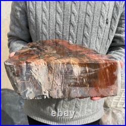 19.3lb Rare Natural petrified wood rough Wood fossil mineral specimen healing 19.3lb Rare Natural petrified wood rough Wood fossil mineral specimen healing