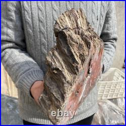 19.3lb Rare Natural petrified wood rough Wood fossil mineral specimen healing 19.3lb Rare Natural petrified wood rough Wood fossil mineral specimen healing