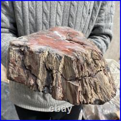 19.3lb Rare Natural petrified wood rough Wood fossil mineral specimen healing 19.3lb Rare Natural petrified wood rough Wood fossil mineral specimen healing