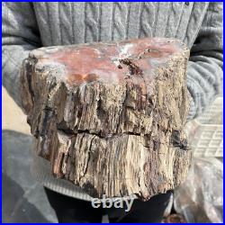19.3lb Rare Natural petrified wood rough Wood fossil mineral specimen healing 19.3lb Rare Natural petrified wood rough Wood fossil mineral specimen healing