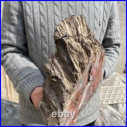 19.3lb Rare Natural petrified wood rough Wood fossil mineral specimen healing 19.3lb Rare Natural petrified wood rough Wood fossil mineral specimen healing