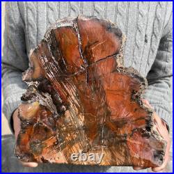 19.3lb Rare Natural petrified wood rough Wood fossil mineral specimen healing 19.3lb Rare Natural petrified wood rough Wood fossil mineral specimen healing