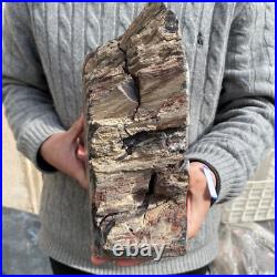 19.3lb Rare Natural petrified wood rough Wood fossil mineral specimen healing 19.3lb Rare Natural petrified wood rough Wood fossil mineral specimen healing