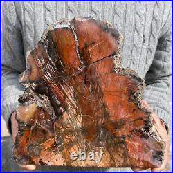 19.3lb Rare Natural petrified wood rough Wood fossil mineral specimen healing 19.3lb Rare Natural petrified wood rough Wood fossil mineral specimen healing