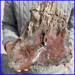 19.3lb Rare Natural petrified wood rough Wood fossil mineral specimen healing 19.3lb Rare Natural petrified wood rough Wood fossil mineral specimen healing