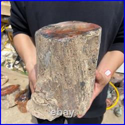 19.4lb Rare Natural petrified wood rough Wood fossil mineral specimen healing 19.4lb Rare Natural petrified wood rough Wood fossil mineral specimen healing