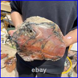 19.4lb Rare Natural petrified wood rough Wood fossil mineral specimen healing 19.4lb Rare Natural petrified wood rough Wood fossil mineral specimen healing