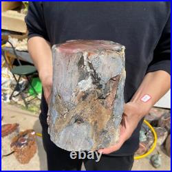 19.4lb Rare Natural petrified wood rough Wood fossil mineral specimen healing 19.4lb Rare Natural petrified wood rough Wood fossil mineral specimen healing