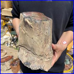 19.4lb Rare Natural petrified wood rough Wood fossil mineral specimen healing 19.4lb Rare Natural petrified wood rough Wood fossil mineral specimen healing
