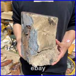 19.4lb Rare Natural petrified wood rough Wood fossil mineral specimen healing 19.4lb Rare Natural petrified wood rough Wood fossil mineral specimen healing