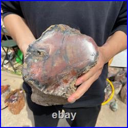 19.4lb Rare Natural petrified wood rough Wood fossil mineral specimen healing 19.4lb Rare Natural petrified wood rough Wood fossil mineral specimen healing