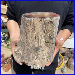 19.4lb Rare Natural petrified wood rough Wood fossil mineral specimen healing 19.4lb Rare Natural petrified wood rough Wood fossil mineral specimen healing