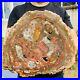 19_96lb_Large_Block_Natural_Petrified_Wood_Crystal_Fossil_Slice_Shape_Specimen_01_etbx