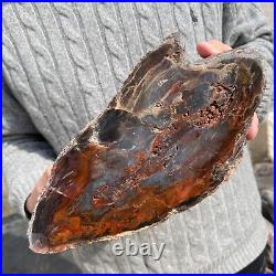 19.9lb Rare Natural petrified wood rough Wood fossil mineral specimen healing 19.9lb Rare Natural petrified wood rough Wood fossil mineral specimen healing