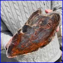 19.9lb Rare Natural petrified wood rough Wood fossil mineral specimen healing 19.9lb Rare Natural petrified wood rough Wood fossil mineral specimen healing