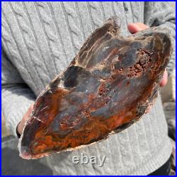 19.9lb Rare Natural petrified wood rough Wood fossil mineral specimen healing 19.9lb Rare Natural petrified wood rough Wood fossil mineral specimen healing