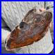 19_9lb_Rare_Natural_petrified_wood_rough_Wood_fossil_mineral_specimen_healing_01_mlub