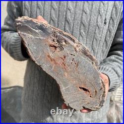 19.9lb Rare Natural petrified wood rough Wood fossil mineral specimen healing 19.9lb Rare Natural petrified wood rough Wood fossil mineral specimen healing