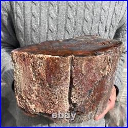 19.9lb Rare Natural petrified wood rough Wood fossil mineral specimen healing 19.9lb Rare Natural petrified wood rough Wood fossil mineral specimen healing