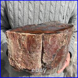 19.9lb Rare Natural petrified wood rough Wood fossil mineral specimen healing 19.9lb Rare Natural petrified wood rough Wood fossil mineral specimen healing