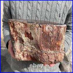 19.9lb Rare Natural petrified wood rough Wood fossil mineral specimen healing 19.9lb Rare Natural petrified wood rough Wood fossil mineral specimen healing