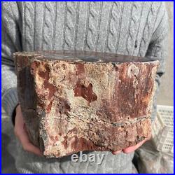 19.9lb Rare Natural petrified wood rough Wood fossil mineral specimen healing 19.9lb Rare Natural petrified wood rough Wood fossil mineral specimen healing
