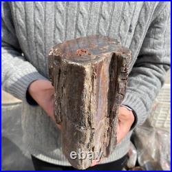 19.9lb Rare Natural petrified wood rough Wood fossil mineral specimen healing 19.9lb Rare Natural petrified wood rough Wood fossil mineral specimen healing