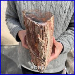 19.9lb Rare Natural petrified wood rough Wood fossil mineral specimen healing 19.9lb Rare Natural petrified wood rough Wood fossil mineral specimen healing
