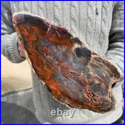 19.9lb Rare Natural petrified wood rough Wood fossil mineral specimen healing 19.9lb Rare Natural petrified wood rough Wood fossil mineral specimen healing