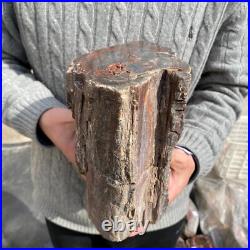 19.9lb Rare Natural petrified wood rough Wood fossil mineral specimen healing 19.9lb Rare Natural petrified wood rough Wood fossil mineral specimen healing