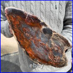 19.9lb Rare Natural petrified wood rough Wood fossil mineral specimen healing 19.9lb Rare Natural petrified wood rough Wood fossil mineral specimen healing