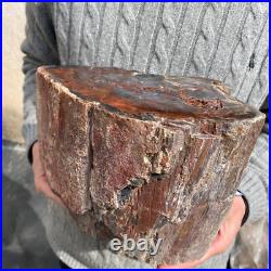 19.9lb Rare Natural petrified wood rough Wood fossil mineral specimen healing 19.9lb Rare Natural petrified wood rough Wood fossil mineral specimen healing