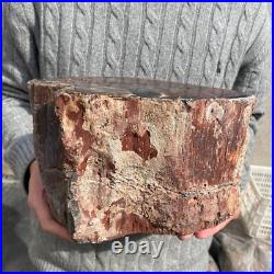 19.9lb Rare Natural petrified wood rough Wood fossil mineral specimen healing 19.9lb Rare Natural petrified wood rough Wood fossil mineral specimen healing