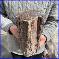 19.9lb Rare Natural petrified wood rough Wood fossil mineral specimen healing 19.9lb Rare Natural petrified wood rough Wood fossil mineral specimen healing