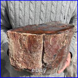19.9lb Rare Natural petrified wood rough Wood fossil mineral specimen healing 19.9lb Rare Natural petrified wood rough Wood fossil mineral specimen healing