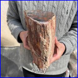 19.9lb Rare Natural petrified wood rough Wood fossil mineral specimen healing 19.9lb Rare Natural petrified wood rough Wood fossil mineral specimen healing