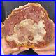 1_6lb_Rare_Natural_petrified_wood_rough_Wood_fossil_mineral_specimen_healing_01_sgz