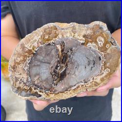 1.6lb Rare Natural petrified wood rough Wood fossil mineral specimen healing 1.6lb Rare Natural petrified wood rough Wood fossil mineral specimen healing