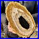 1_77LB_Large_natural_Petrified_wood_crystal_fossil_piece_sample_restoration_01_azvc