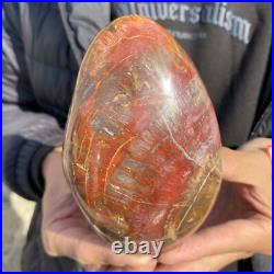 1.7lb Rare Natural petrified wood rough Wood fossil mineral specimen healing 1.7lb Rare Natural petrified wood rough Wood fossil mineral specimen healing