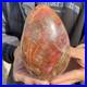 1_7lb_Rare_Natural_petrified_wood_rough_Wood_fossil_mineral_specimen_healing_01_okh