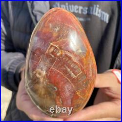1.7lb Rare Natural petrified wood rough Wood fossil mineral specimen healing 1.7lb Rare Natural petrified wood rough Wood fossil mineral specimen healing