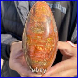 1.7lb Rare Natural petrified wood rough Wood fossil mineral specimen healing 1.7lb Rare Natural petrified wood rough Wood fossil mineral specimen healing
