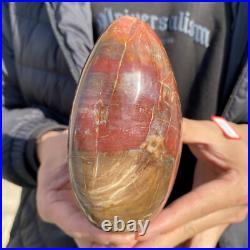 1.7lb Rare Natural petrified wood rough Wood fossil mineral specimen healing 1.7lb Rare Natural petrified wood rough Wood fossil mineral specimen healing