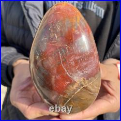 1.7lb Rare Natural petrified wood rough Wood fossil mineral specimen healing 1.7lb Rare Natural petrified wood rough Wood fossil mineral specimen healing