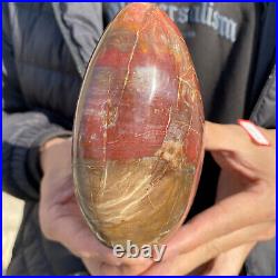 1.7lb Rare Natural petrified wood rough Wood fossil mineral specimen healing 1.7lb Rare Natural petrified wood rough Wood fossil mineral specimen healing